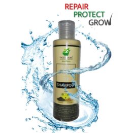 Root-to-Tip-Shampoo—Quality-50-per
